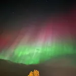 Unik Med 12 Soveplsser Pa Senja - Egen *