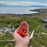 Unik Med 12 Soveplsser Pa Senja - Egen Hébergement de vacances *