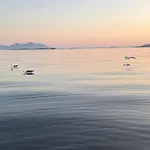 Unik Med 12 Soveplsser Pa Senja - Egen Hébergement de vacances Hofsoy