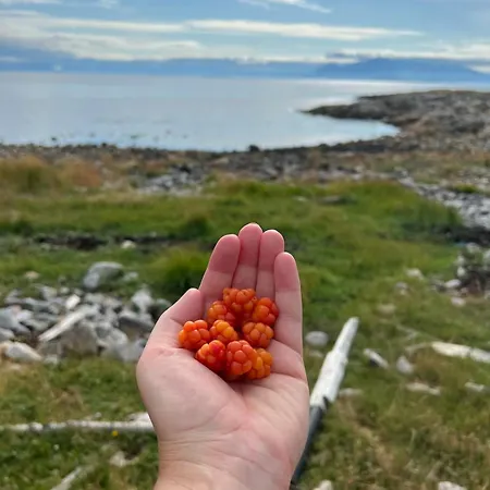 Unik Med 12 Soveplsser Pa Senja - Egen بيت للعطل *