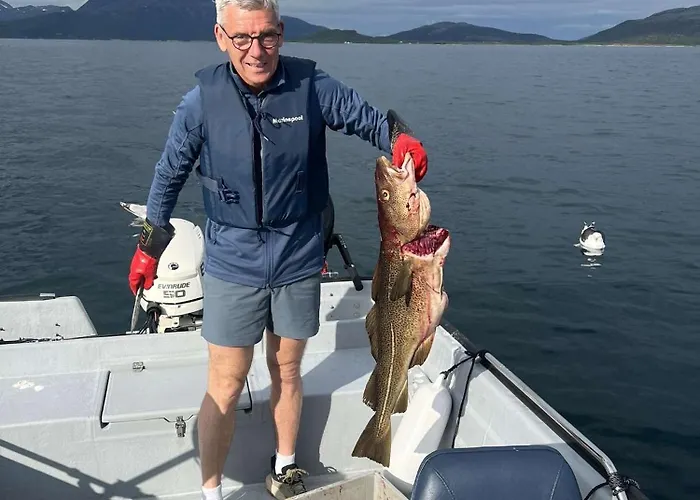 Unik Med 12 Soveplsser Pa Senja - Egen