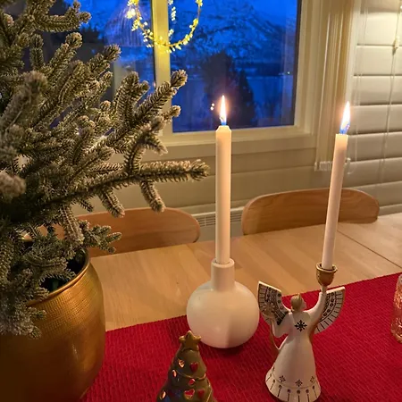 Semesterbostad Unik Med 12 Soveplsser Pa Senja - Egen Hofsoy