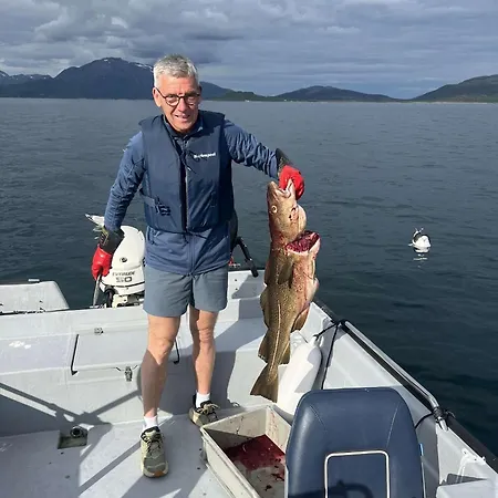 Unik Med 12 Soveplsser Pa Senja - Egen