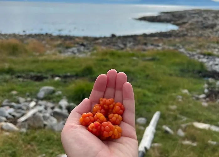 Unik Med 12 Soveplsser På Senja - Egen Feriehus *